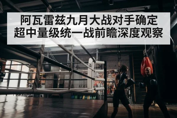 boxer training gym