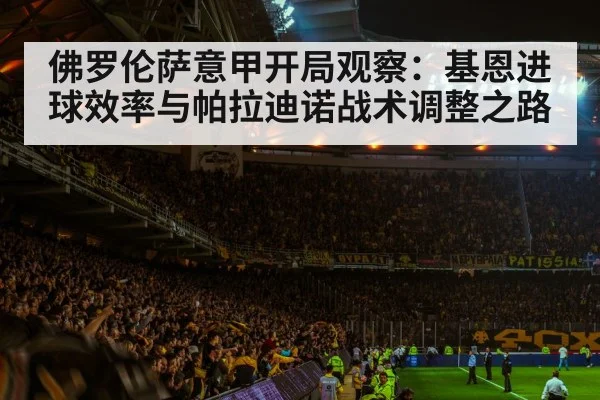 soccer stadium crowd night