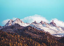 乐鱼-觊觎布克西蒙斯和霍勒迪 森林狼真的有机会吗？